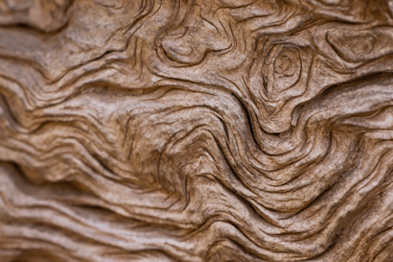 Buying Timber e1662351873416